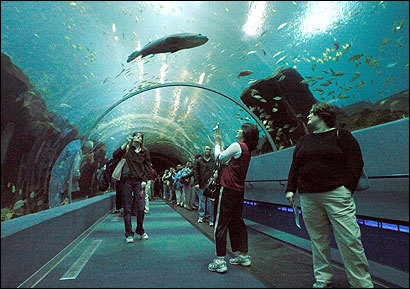 Aquarium